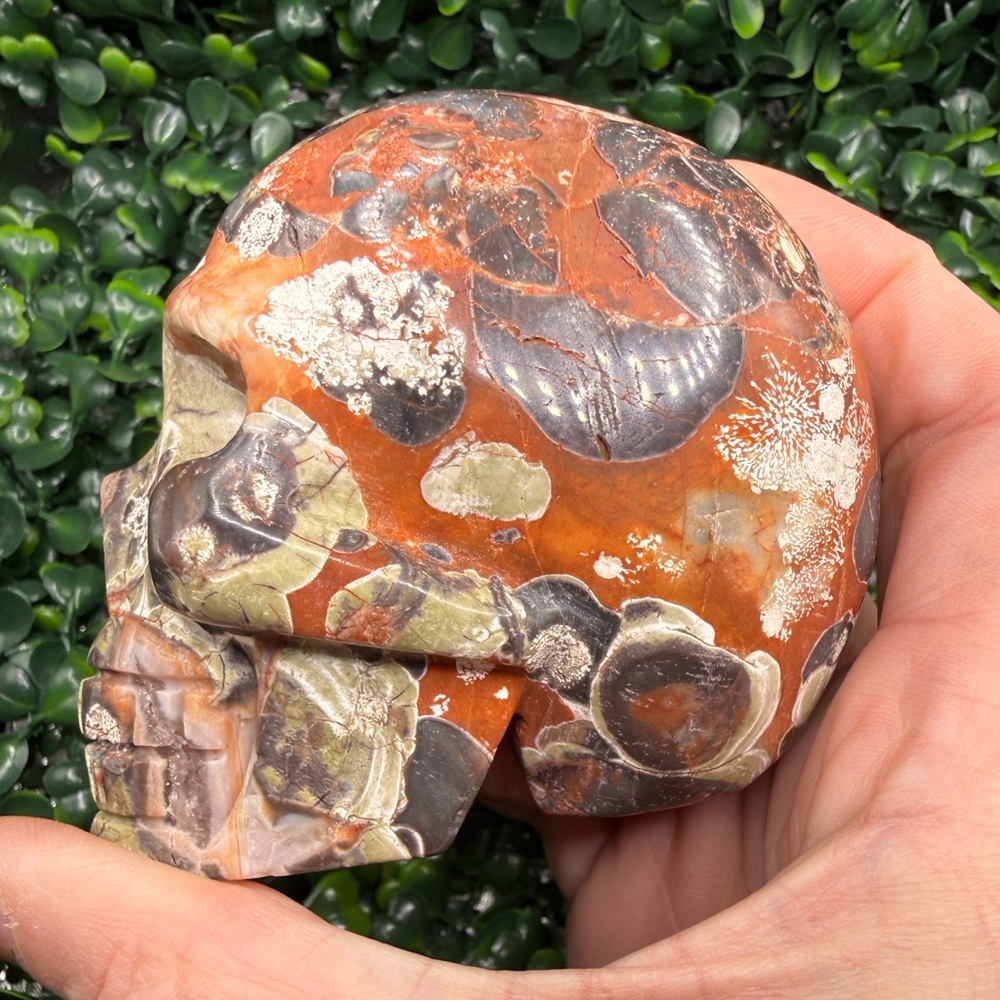 Money Agate (Indonesian Bloodstone) Skull Carving - Picture 6 of 8